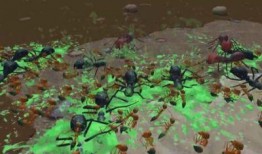 地下蚁国最新爆料,最新爆料揭示神秘蚁群世界