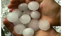 汤圆最新爆料,揭秘娱乐圈不为人知的秘密