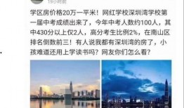深圳湾网红最新爆料,揭秘网红打卡地背后的秘密与惊喜