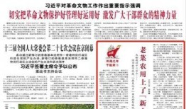 寿光最新爆料事件新闻报道,事件真相逐步浮出水面